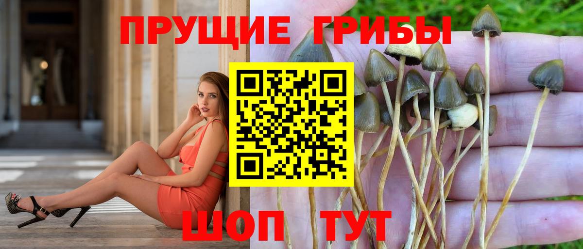 Галлюциногенные грибы мицелий Добрянка