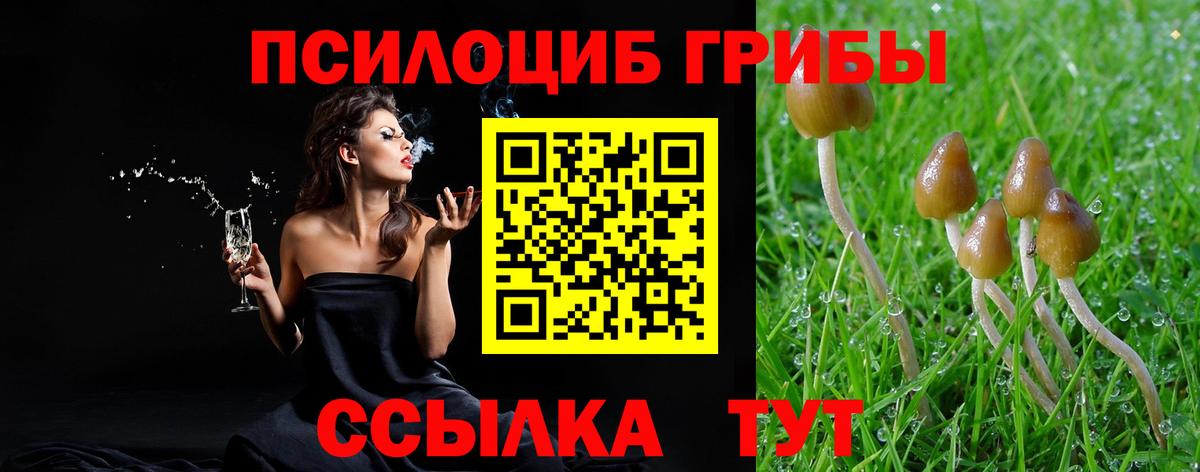 Добрянка  Псилоцибиновые грибы мухоморы  Псилоцибиновые грибы MAGIC MUSHROOMS  Вход с VPN 